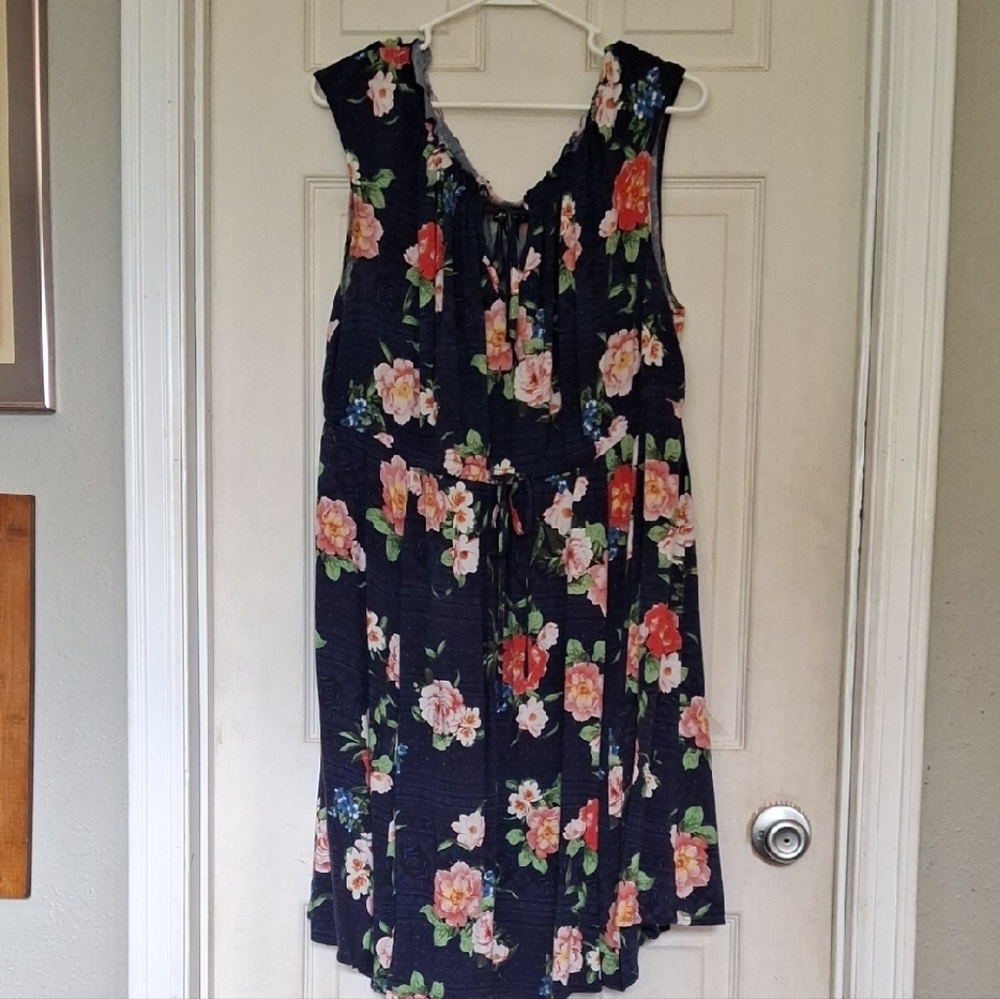 Torrid Blue and Pink Floral Dress